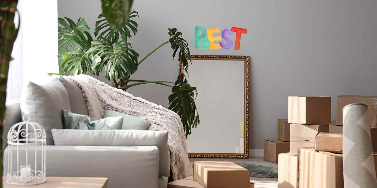 The Ultimate Battle: DIY Furniture Removal vs. Professional Services in 2023 - Who Will Win?