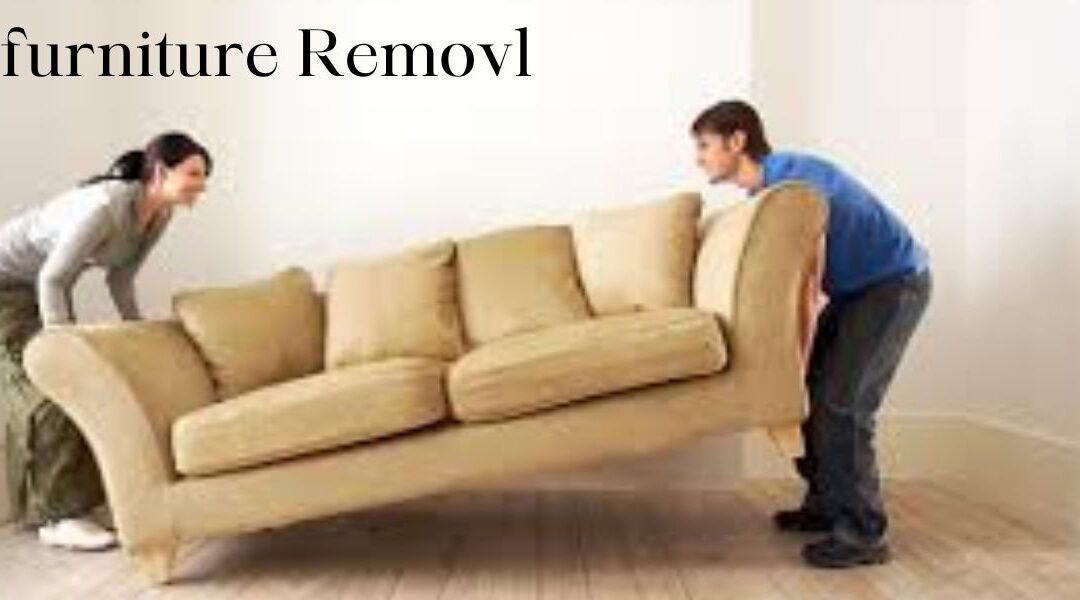 "Furniture Removal Seamless Progression: A Beginner's Guide to Effortless Decluttering and Furniture Removal in 2023"